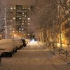 Дипломы