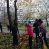 День благоустройства