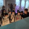 Не утихает боль, не иссякает благодарность