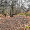 Начни с себя