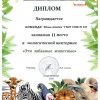 Викторина