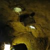 НЕОБЫКНОВЕННАЯ ЖИЗНЬ ОБЫКНОВЕННОГО ЕЖА