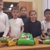 Гостинцы для   четвероногих друзей 