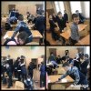 НОВЫЕ ДЕРЕВЬЯ НА ШКОЛЬНОЙ ТЕРРИТОРИИ