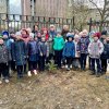 НОВЫЕ ДЕРЕВЬЯ НА ШКОЛЬНОЙ ТЕРРИТОРИИ