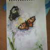 ИТОГИ II ОБЩЕШКОЛЬНОГО КОНКУРСА «СКЕТЧБУК - УДИВИТЕЛЬНЫЙ МИР»