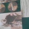 ЗНАКОМСТВО С ВЕЛИКИМ УЧЕНЫМ