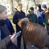 В ПОИСКАХ СЕМЕНОВА-ТЯН-ШАНСКОГО