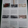 ЭКСКУРСИЯ-КВЕСТ «ПРИКАЗАНО ВЫЖИТЬ»