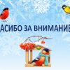 СПАСИБО ЗА ВНИМАНИЕ К ЖИВОЙ ПРИРОДЕ!