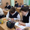 ТИГРЫ В КРАСКАХ