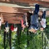 Изображение к статье К 320-ЛЕТИЮ САНКТ-ПЕТЕРБУРГА