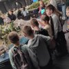 РАССМОТРЕЛИ В ДЕТАЛЯХ