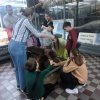 В МИРЕ ЖИВОТНЫХ