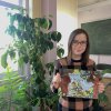 Изображение к статье: 