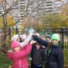 Изображение к статье: 