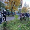 Изображение к статье: 