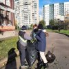 Изображение к статье: 