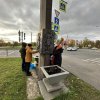 Изображение к статье: 