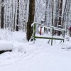РОЖДЕСТВЕНСКИЕ ГОНКИ