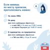 Голосование 1